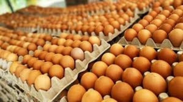 El precio del huevo podría aumentar más hacía Semana Santa - Portal Digital Cáritas Universidad Católica