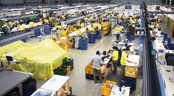 Diversificar la matriz productiva