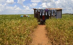 Más de 65.000 jóvenes paraguayos viven en pobreza extrema