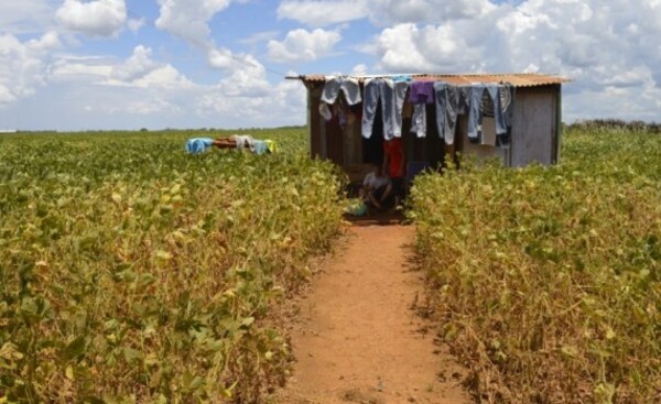 Más de 65.000 jóvenes paraguayos viven en pobreza extrema
