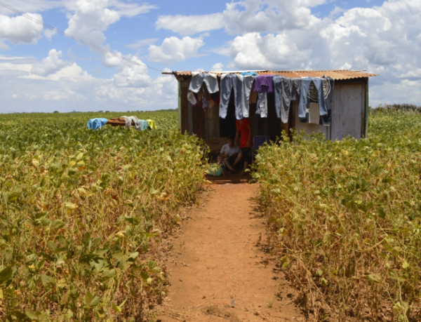 Más de 66.000 jóvenes paraguayos no pueden cubrir sus necesidades básicas, según informe del INE
