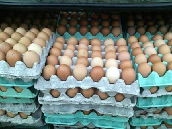PLANCHA DE HUEVOS PASA LOS 30 MIL GUARANÍES