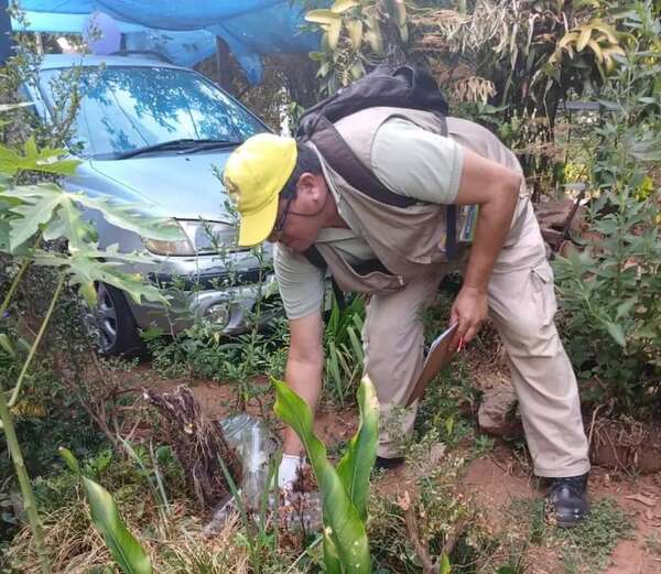 AUDIO: Dengue: “Estamos con altas notificaciones en varios barrios de Asunción y Central”, dicen desde Senepa - Contacto Ciudadano - ABC Color