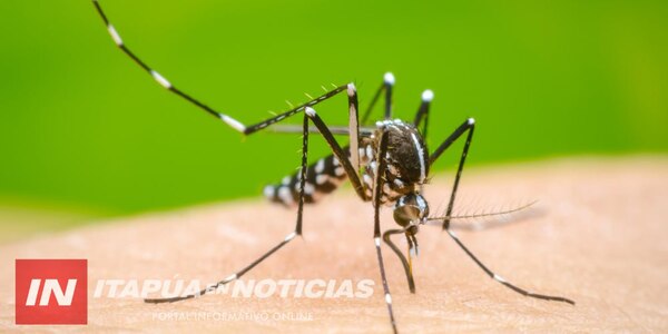 INSISTEN EN LA CONSULTA OPORTUNA ANTE LOS PRIMEROS SÍNTOMAS DE DENGUE - Itapúa Noticias