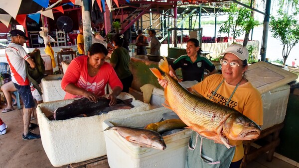 Escasez en el río Paraguay impacta en el precio de ciertos pescados