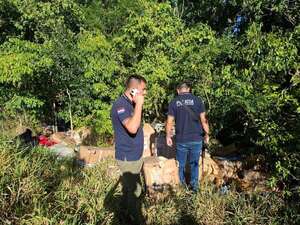 La Policía incauta armas de fuego, droga y mercaderías en Caaguazú tras un robo agravado  - Policiales - ABC Color