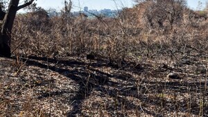 Alertan de daños “irreversibles” si no se actúa ante la crisis climática