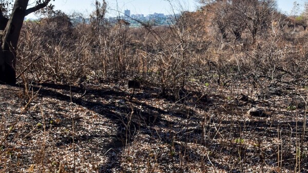 Alertan de daños “irreversibles” si no se actúa ante la crisis climática