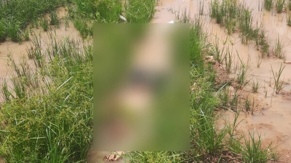 Hombre muere atropellado en General Bernardino Caballero