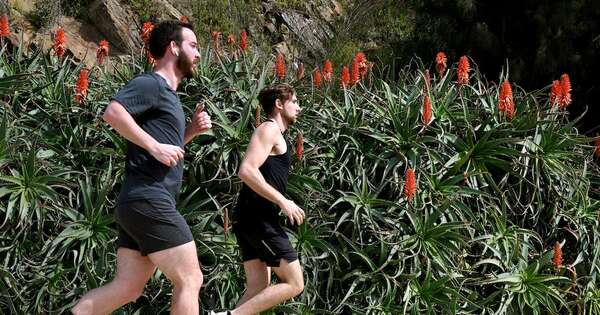 Diario HOY | Actividad física regular, clave para el cuidado de la salud