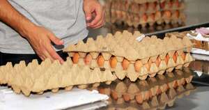 La Nación / Precio del huevo: subas seguirían a medida que se acerca la Semana Santa