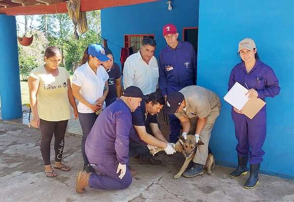 Instituciones coordinan estrategias de vigilancia, prevención y control de la leishmaniasis en el país - Nacionales - ABC Color