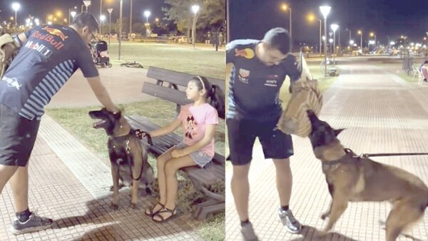 Video: Perro defendió a niña al ser forcejeada