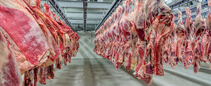 Paraguay aumenta sus envíos de carne a EE. UU., Israel y Taiwán, contrarrestando caídas en Rusia y otros mercados