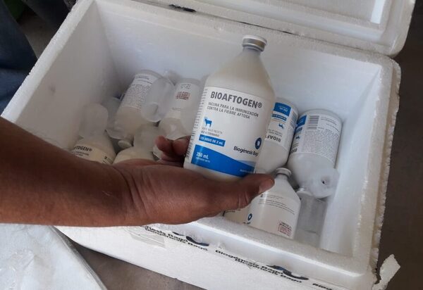 Buenas prácticas de conservación de vacunas es clave para una inoculación eficiente