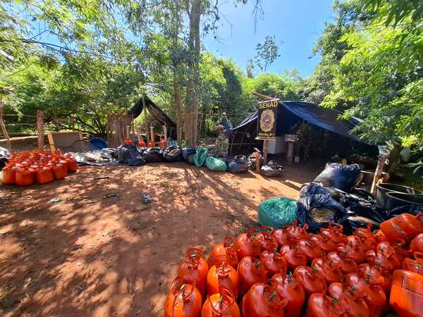 Desmantelan uno de los mayores complejos donde procesaban variedades marihuana en Amambay - .::Agencia IP::.
