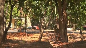 Hallan un cuerpo en el Parque Antonio López