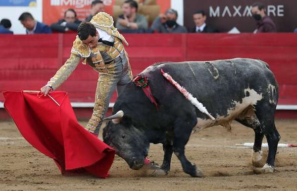 Más de 700.000 firmas piden que la tauromaquia deje de ser patrimonio cultural en España - Mundo - ABC Color