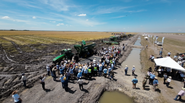 Día de Campo de Arroz en Ñeembucú resaltó un nuevo horizonte para la producción en Paraguay