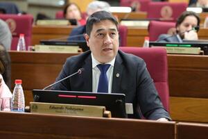 Nakayama: "una cumbre de poderes a esta altura ya viene a destiempo" - 1000 Noticias