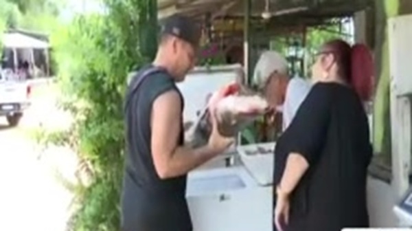 Suben los precios del pico de pato y tres puntos en Remanso - SNT
