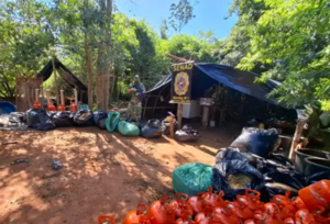 Desmantelan laboratorio de marihuana en Capitán Bado; detienen a un sospechoso