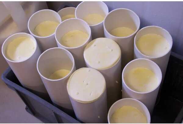 Lactalis se expande en Uruguay al comprar un tradicional complejo industrial lácteo | Internacionales | 5Días