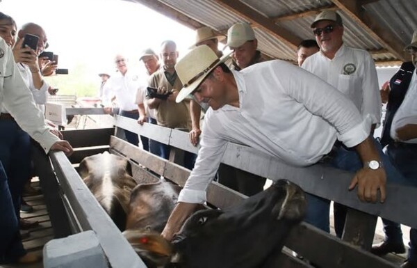 Inicia primer periodo de vacunación contra la fiebre aftosa que espera llegar a 13 millones de bovinos - .::Agencia IP::.