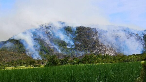 Bomberos trabajan para controlar un incendio de gran magnitud en el cerro Mbocayaty