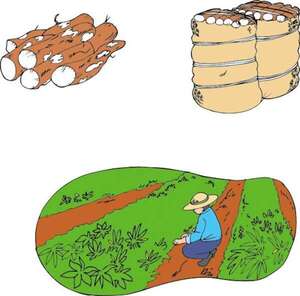 Mandi’o ypy (mombe'upy) (peteĩha) - Guaraní Primer Ciclo - ABC Color