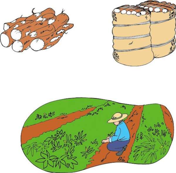 Mandi’o ypy (mombe'upy) (peteĩha) - Guaraní Primer Ciclo - ABC Color