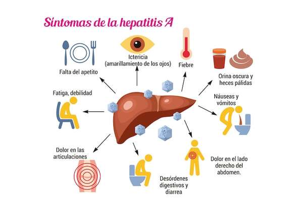 Día Mundial contra la Hepatitis - Ciencias de la Naturaleza y de la Salud Tercer Ciclo - ABC Color