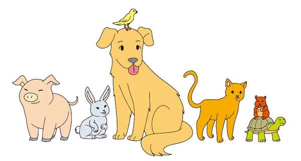Día Mundial de los Animales - Ciencias Naturales Segundo Ciclo - ABC Color