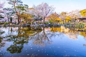 Los tesoros de Kyoto, Japón: mezcla de tradición y modernidad - Viajes - ABC Color