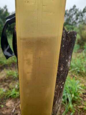 Lluvia aplaca el calor y beneficia a productores agrícolas y ganaderos de Paraguarí - Nacionales - ABC Color