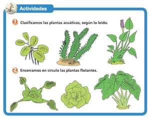 Plantas acuáticas - Medio Natural y Salud Primer Ciclo - ABC Color