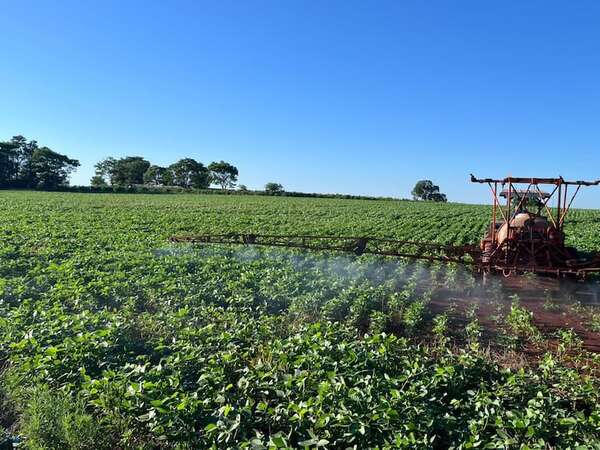 Proyección de mejora en el nivel de precipitaciones favorecerá la campaña agrícola - Economía - ABC Color