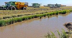 La Nación / Río Tebicuary: arroceros afirman haber terminado su irrigación a principios de febrero