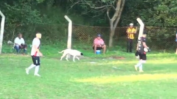 Viral: Arquero pisó a perrito y se cayó de espaldas
