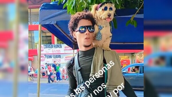 Skipe, el perro que viaja en el hombro de su compañero
