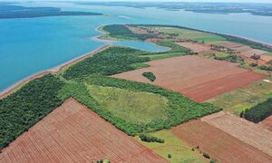 ITAIPU Preserva restaura más de 10 hectáreas en Puerto Indio y fortalece la protección de humedal