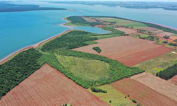 ITAIPU Preserva restaura más de 10 hectáreas en Puerto Indio y fortalece la protección de humedal