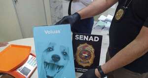 La Nación / Alerta: en el Silvio Pettirossi detectan marihuana premium en bebedero para perros