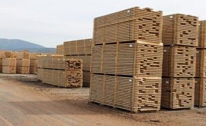 A enero de este año se importaron 4.320 toneladas de productos forestales | Análisis Macro | 5Días