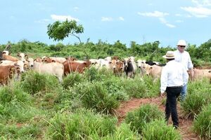 “Hoy el precio del ganado es más justo, pero necesitamos estabilidad”, afirman productores | Agronegocios | 5Días