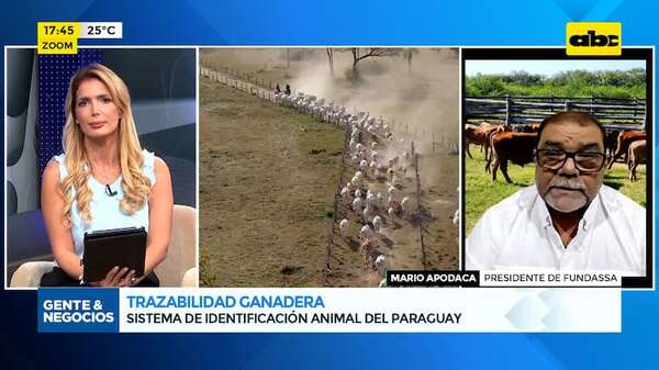 Trazabilidad ganadera: Sistema de Identificación Animal del Paraguay - Gente & Negocios - ABC Color