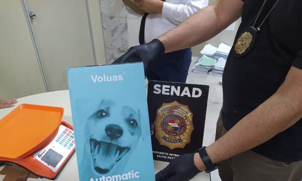 En el Silvio Pettirossi detectan marihuana premium en bebedero para perros