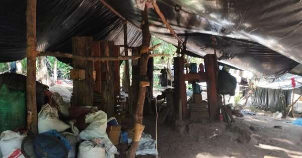 Diario HOY | Desmantelan siete campamentos narcos en Cerro Guasú