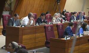 En Diputados cuestionan al Comando cartista la  protección a Marco Alcaraz - Política - ABC Color