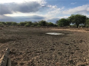 Solo aguaceros en Fuerte Olimpo - 1000 Noticias